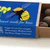 Seedball Matchbox Blue Bee
