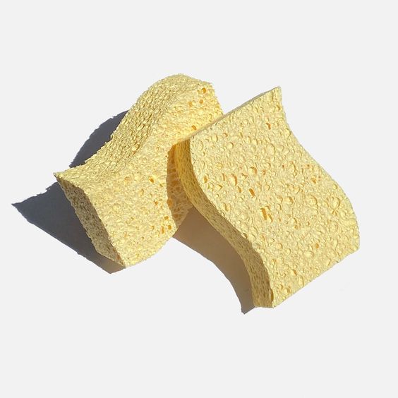 Compostable sponge