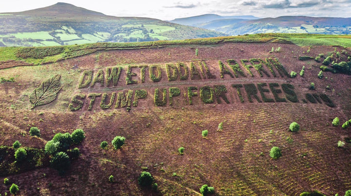 Plant a tree in the Brecon Beacons with STUMP UP for TREES